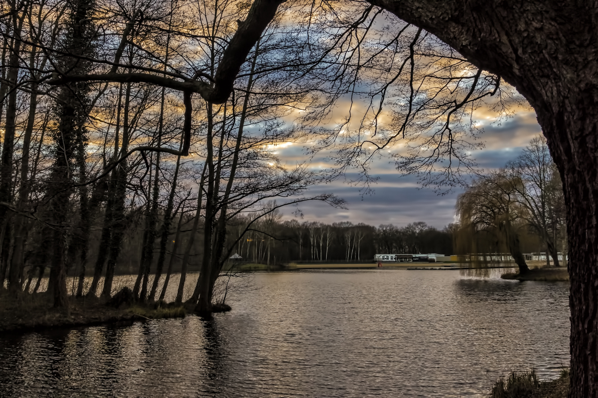 Januarhimmel über der Berliner Jungfernheide