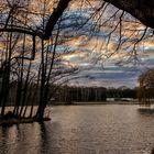 Januarhimmel über der Berliner Jungfernheide