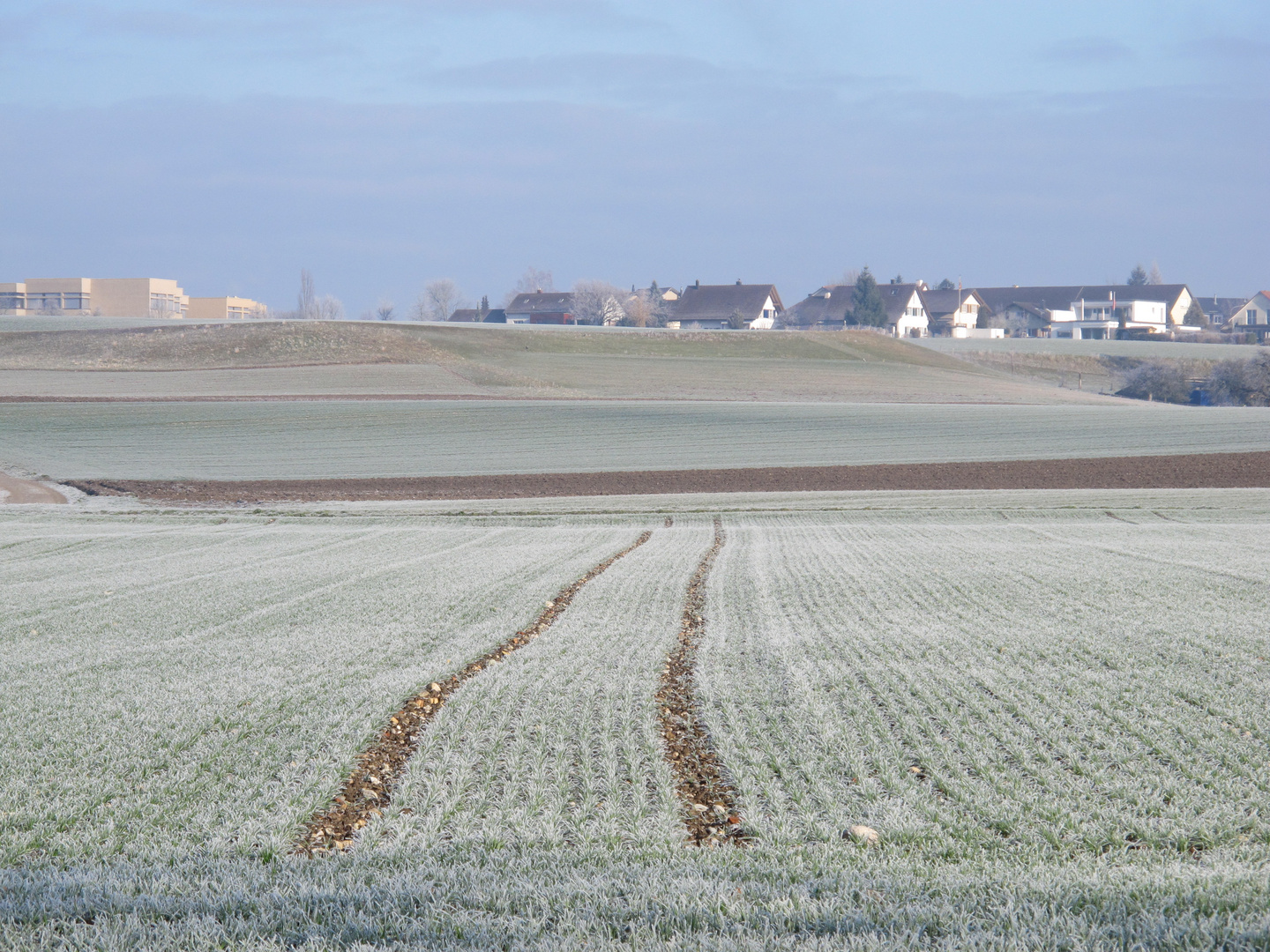 Januarimpressionen