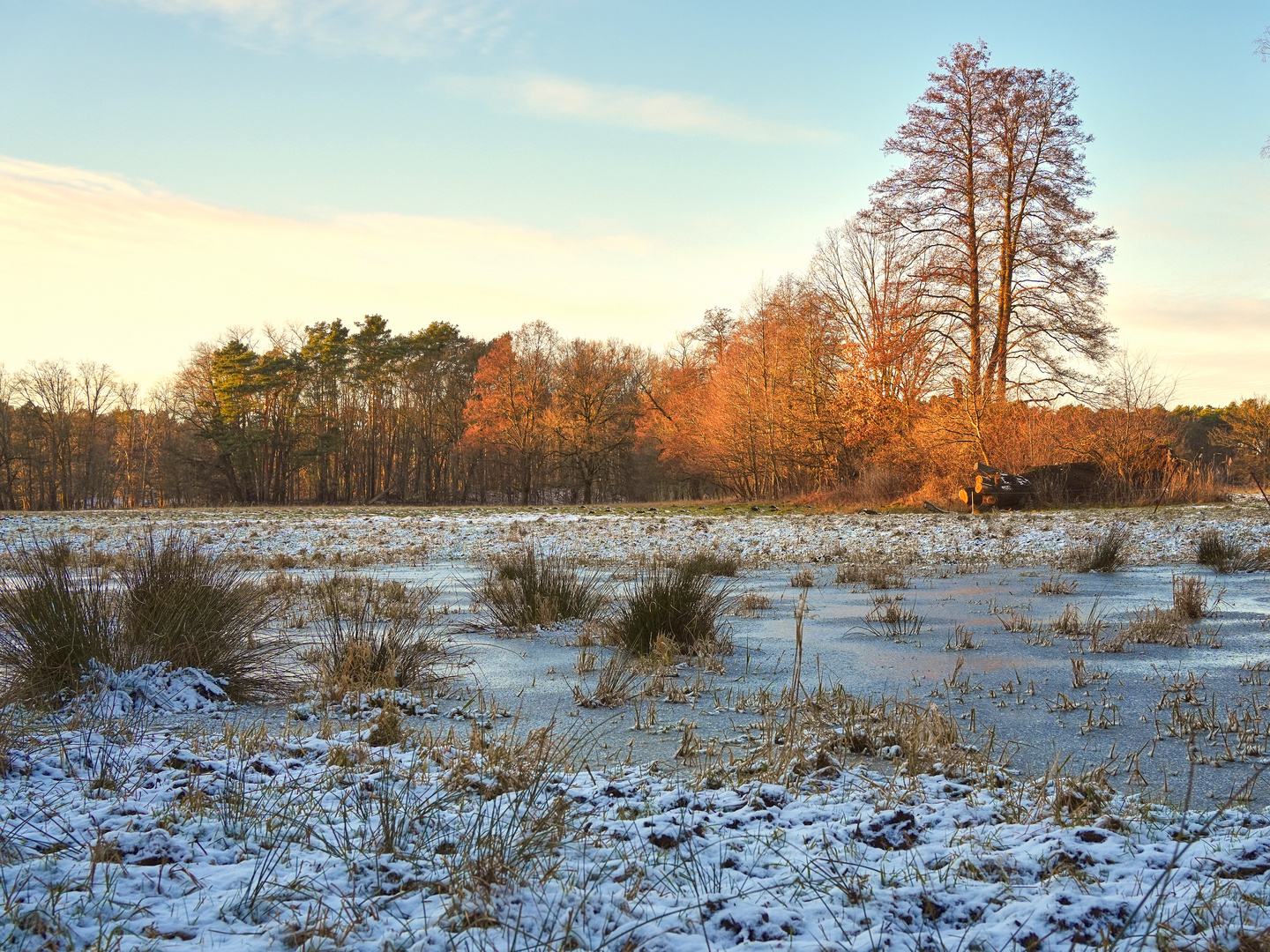 Januarlandschaft