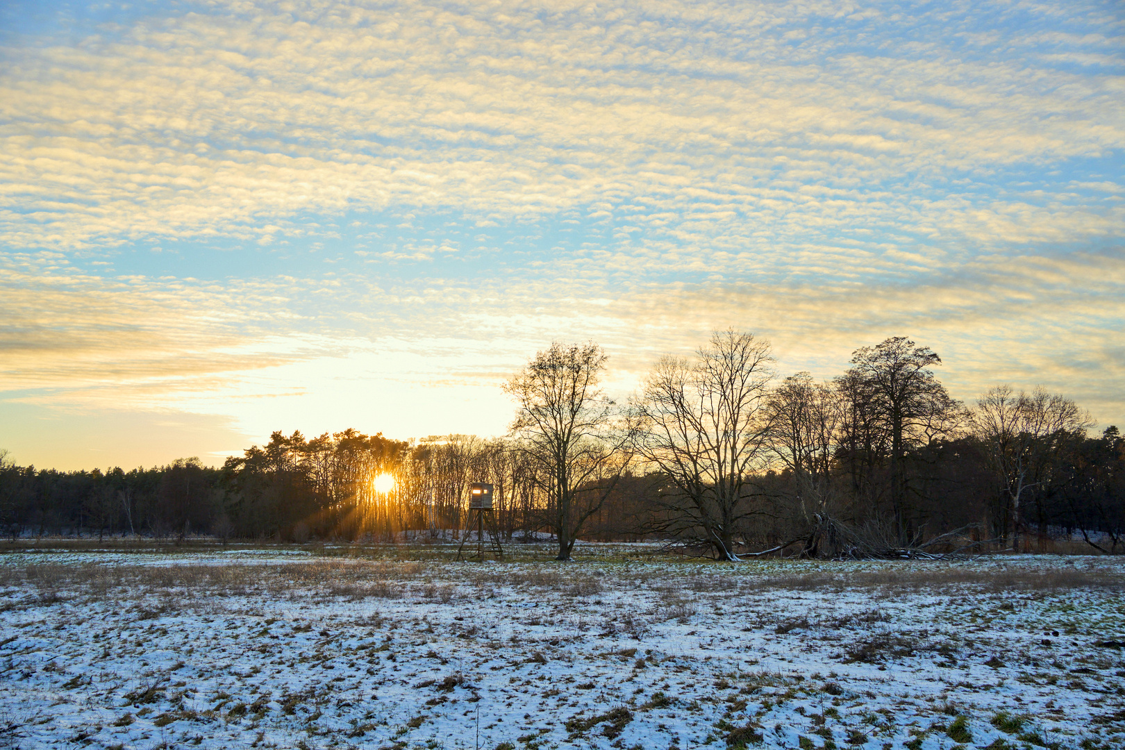 Januarlicht