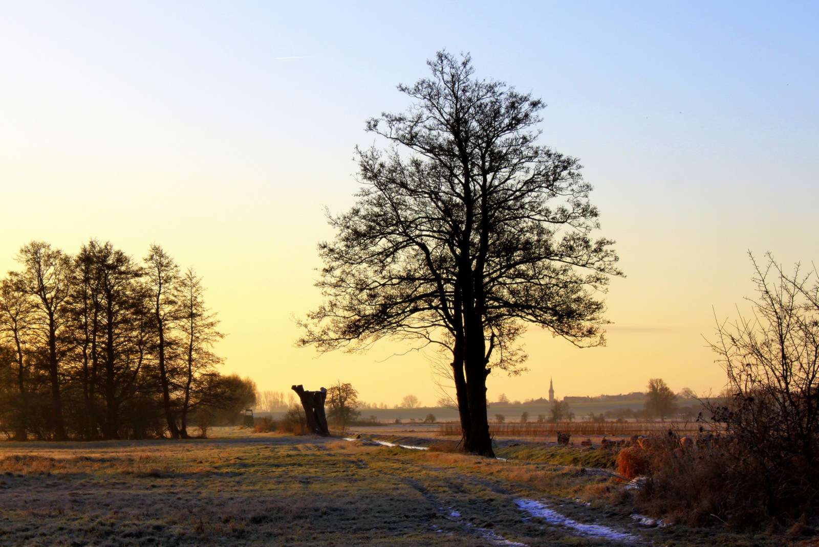 Januarmorgen