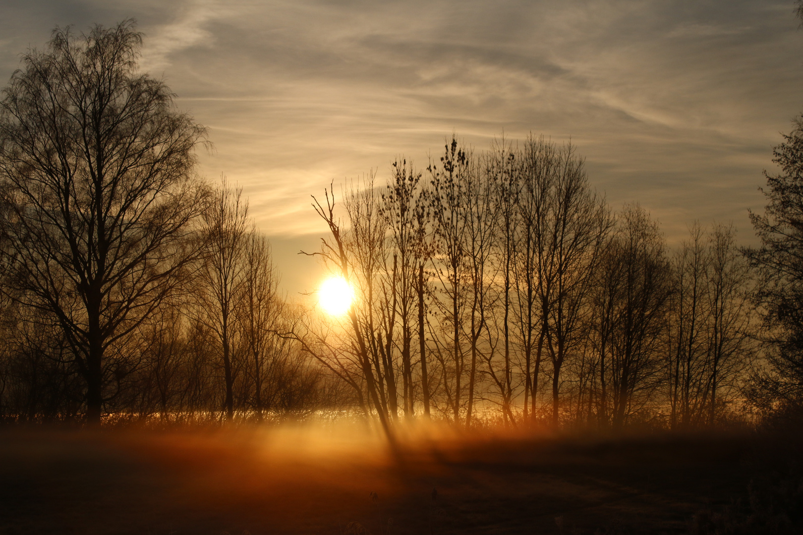 Januarmorgen am Waginger See