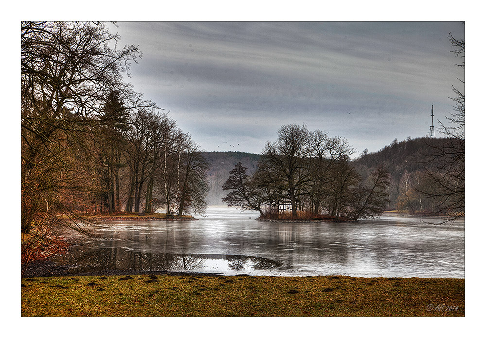 Januarmorgen im Greizer Park