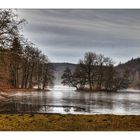 Januarmorgen im Greizer Park