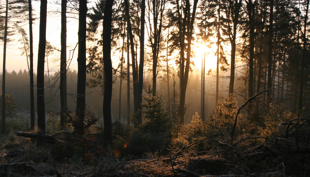 Januarmorgen im malerischen Odenwald