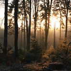 Januarmorgen im malerischen Odenwald