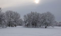 Januar...schneegrau