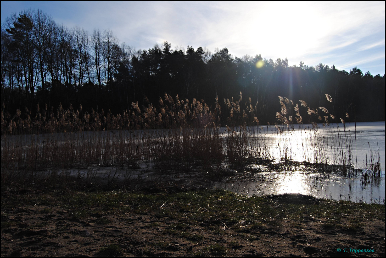 Januarsonne