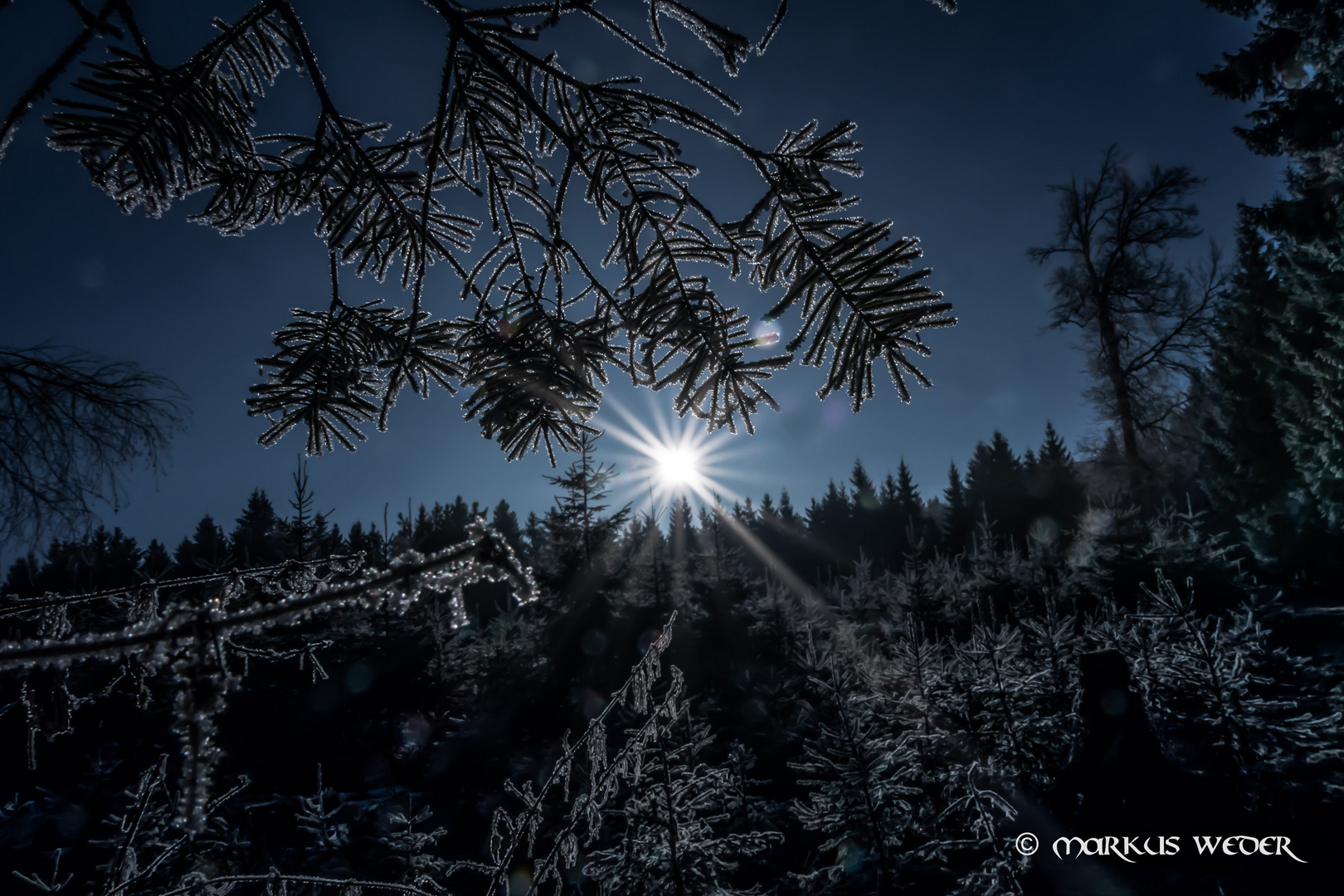 Januarsonne