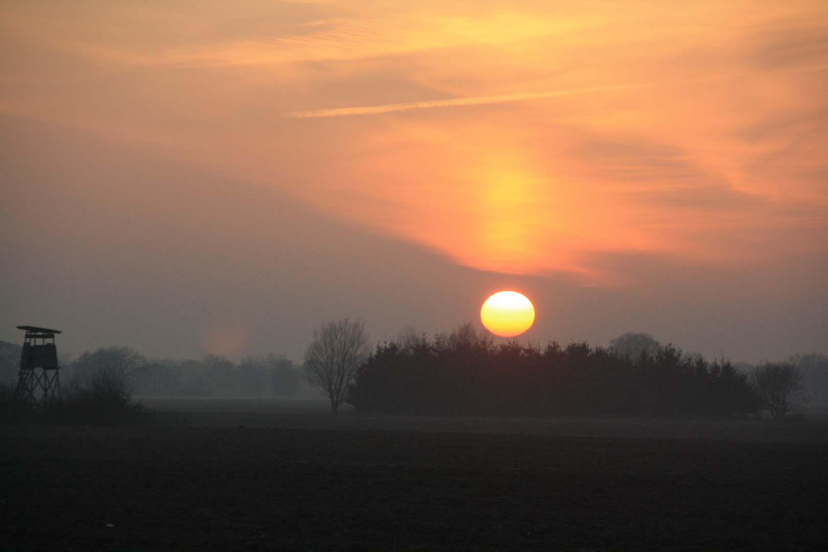 Januarsonne