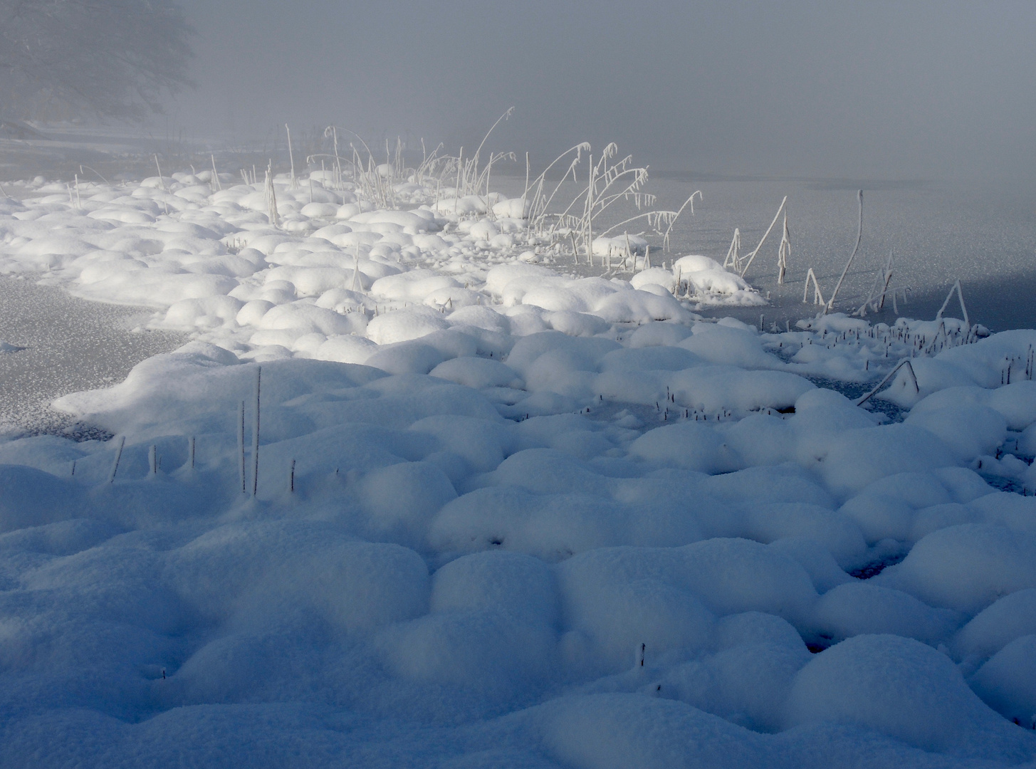 Januarsonne