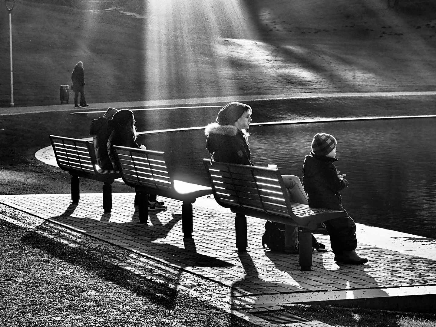 Januarsonne im Park