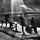 Januarsonne im Park