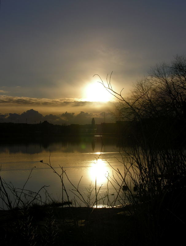 Januarsonne in Finnland