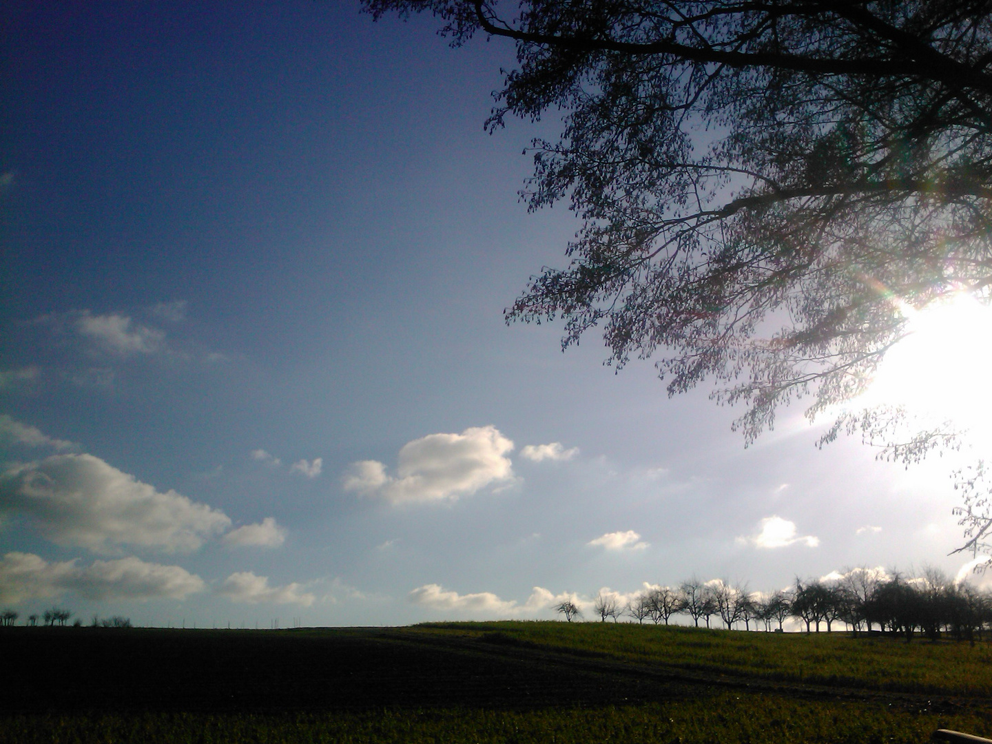 Januarspaziergang