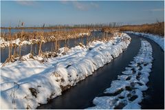 Januarspaziergang...