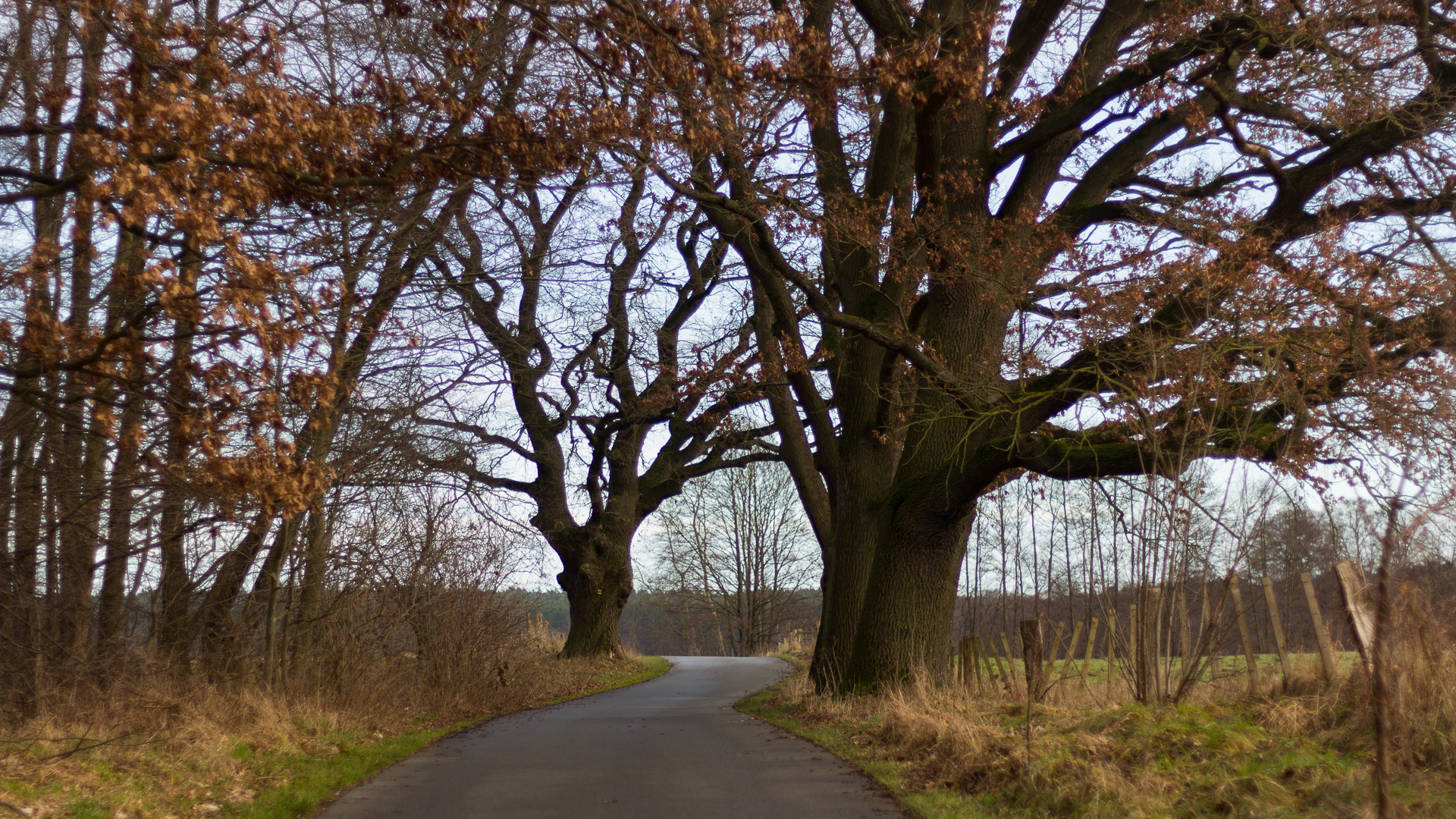 Januarspaziergang