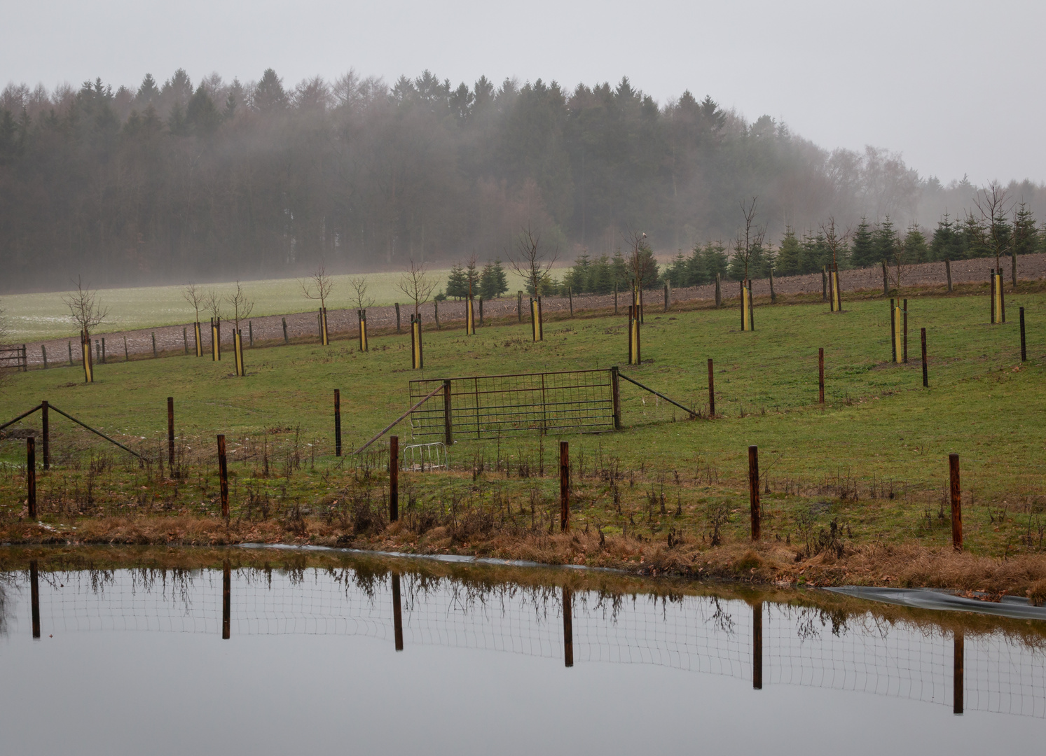 Januarstimmung in Norddeutschland