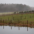 Januarstimmung in Norddeutschland