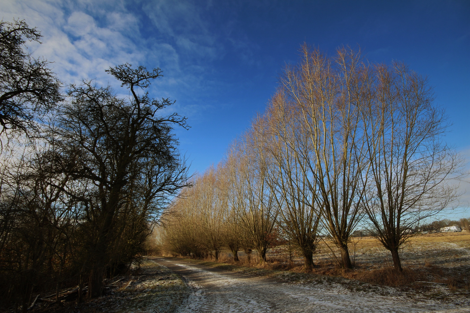 Januartag in Holzwickede 