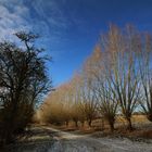 Januartag in Holzwickede 