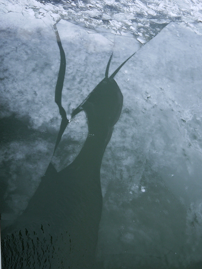 January 2017 ice drift on the Danube