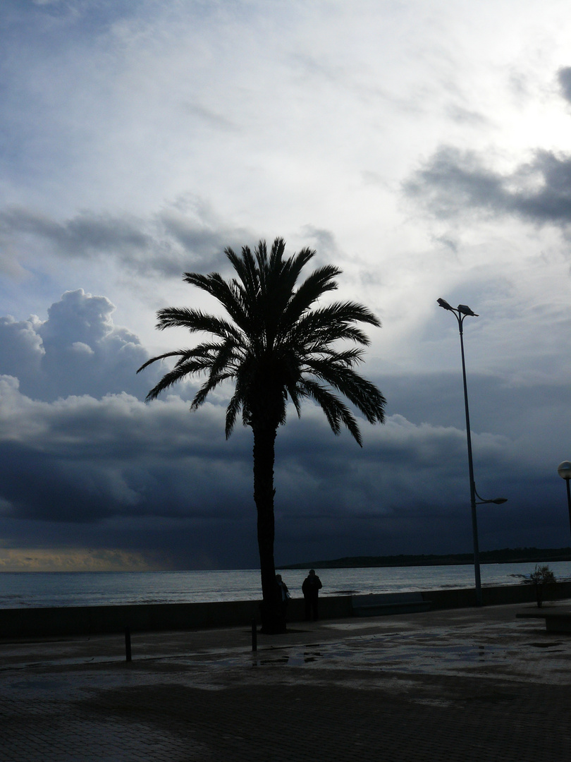 January in Mallorca