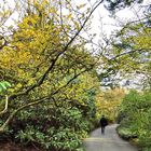 January on the Garden Path