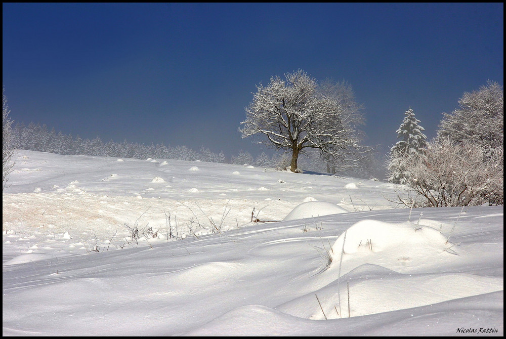 " janvier "