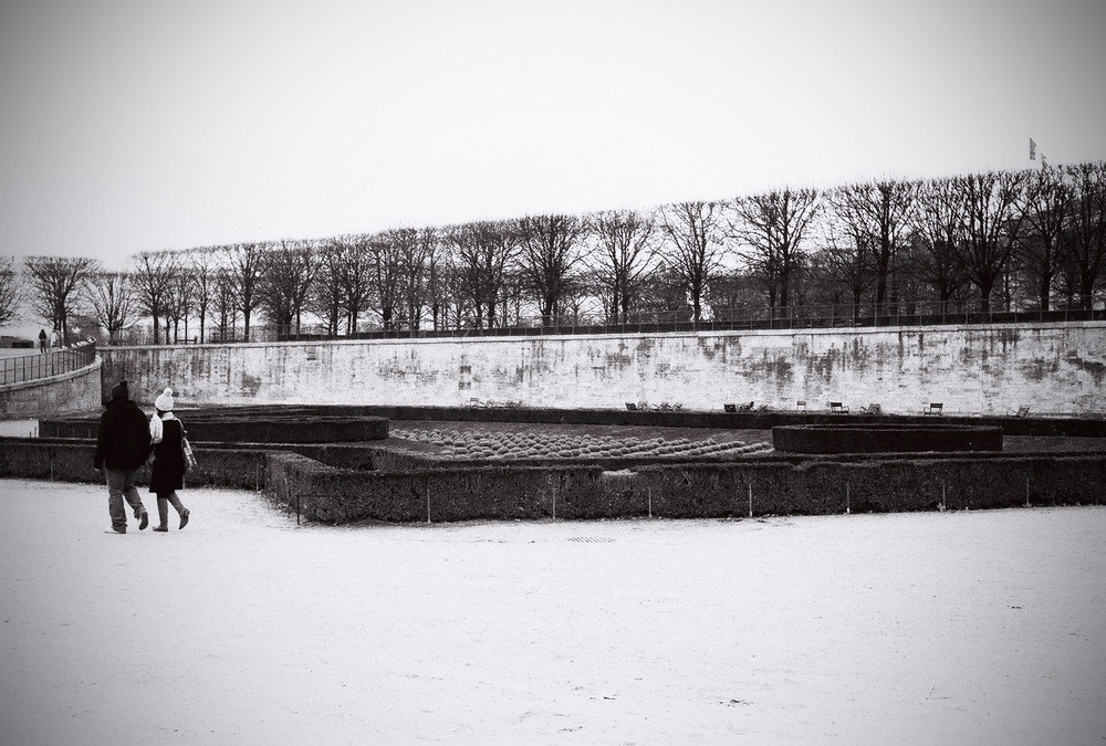 janvier jardin des tuileries