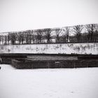 janvier jardin des tuileries