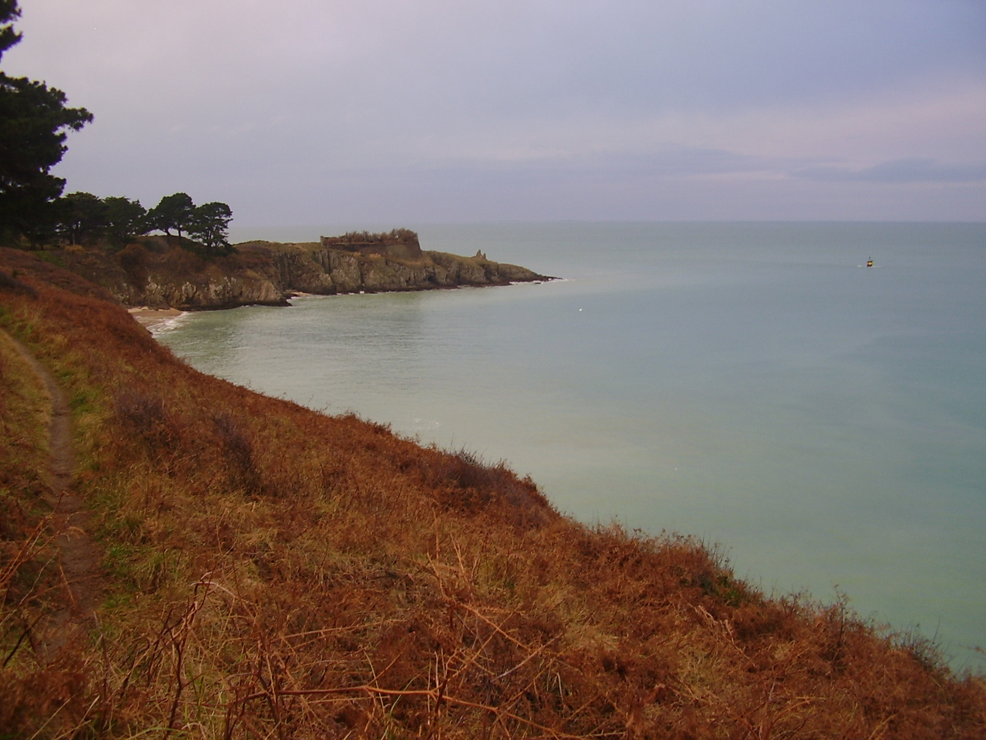 Janvier sur Belle-ile-en-mer la pointe du Bugull