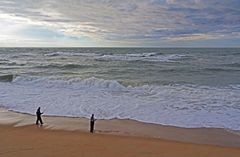 Janvier sur la plage de Capbreton