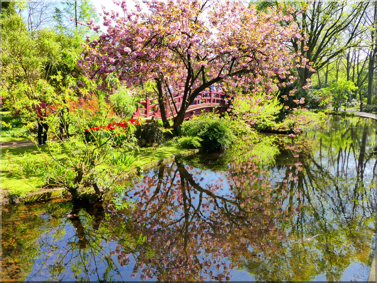 jap. garten Leverkusen 3