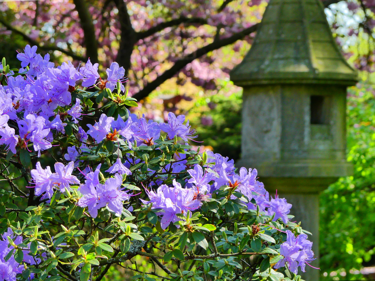 jap. garten Leverkusen 4