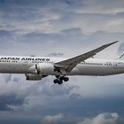 Japan Airlines, Boeing 787