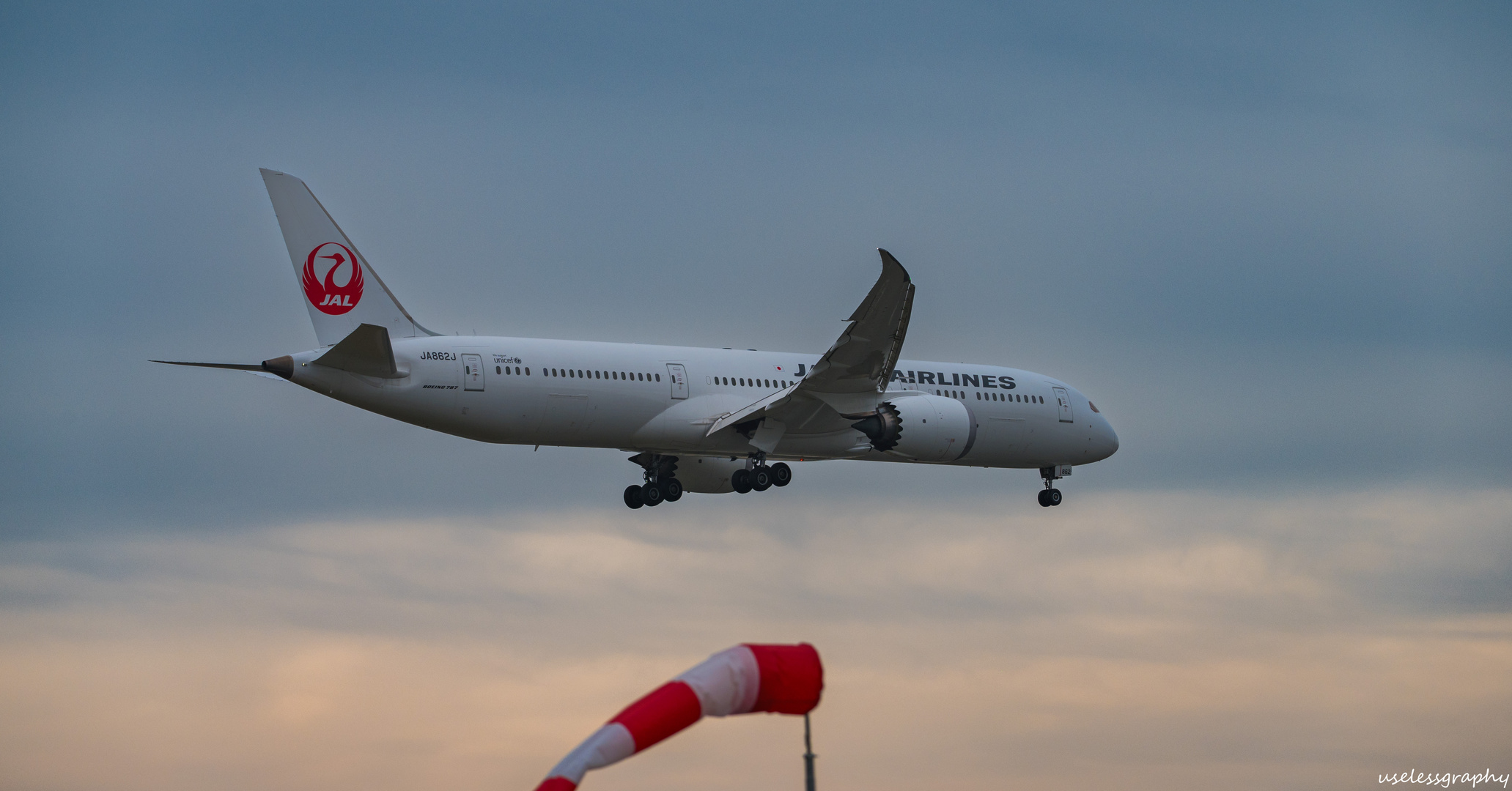 Japan Airlines Boing 787