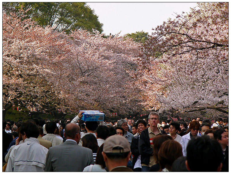 Japan: Ein gemütlicher Sonntagnachmittag im Park...
