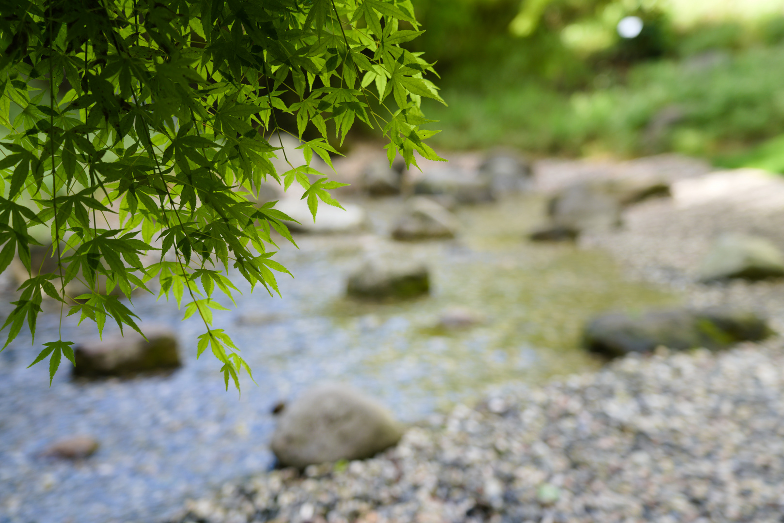 Japan-Garten