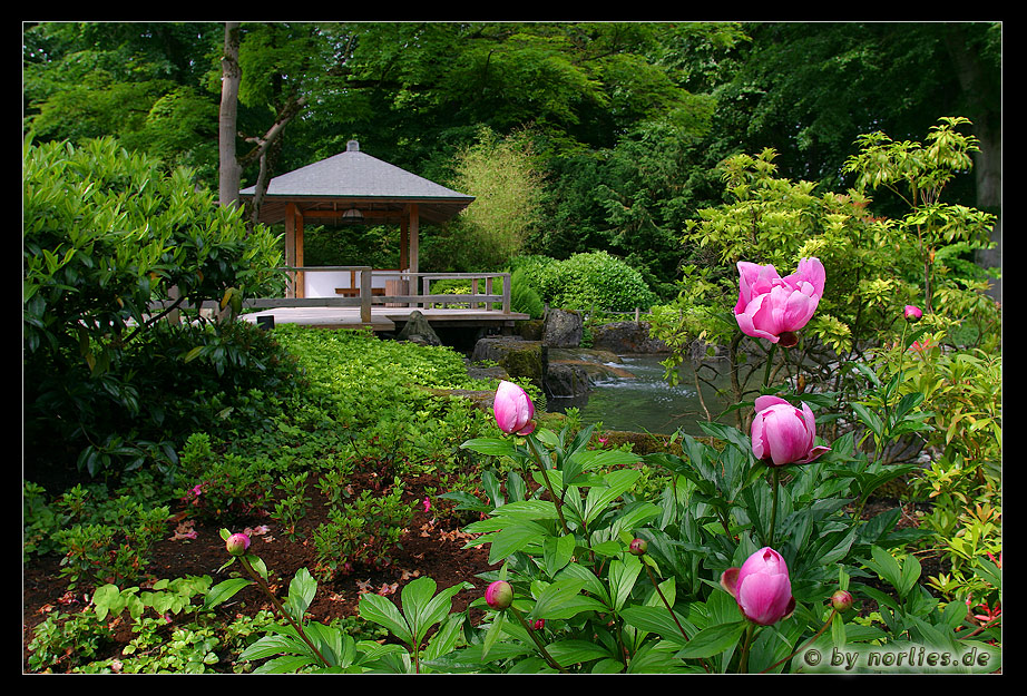 Japan - Garten