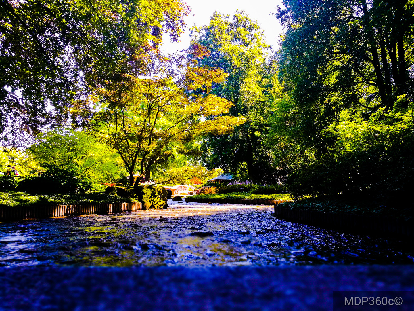 Japan Garten