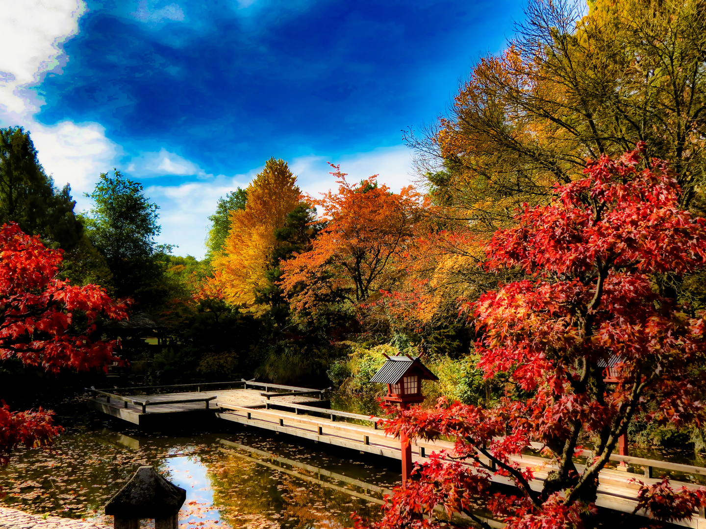 Japan Garten Herbst