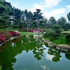 Japan. Garten im Düsseldorfer Nordpark