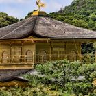 Japan, goldenerer Tempel