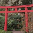 Japan im Stadtgarten