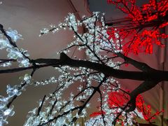 Japan & Korea Light & Food Festival Düsseldorf