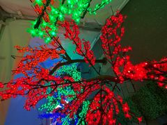 Japan & Korea Light & Food Festival Düsseldorf