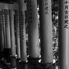 JAPAN - Kyoto - Fushimi Inari-Taisha Torri - Detail II