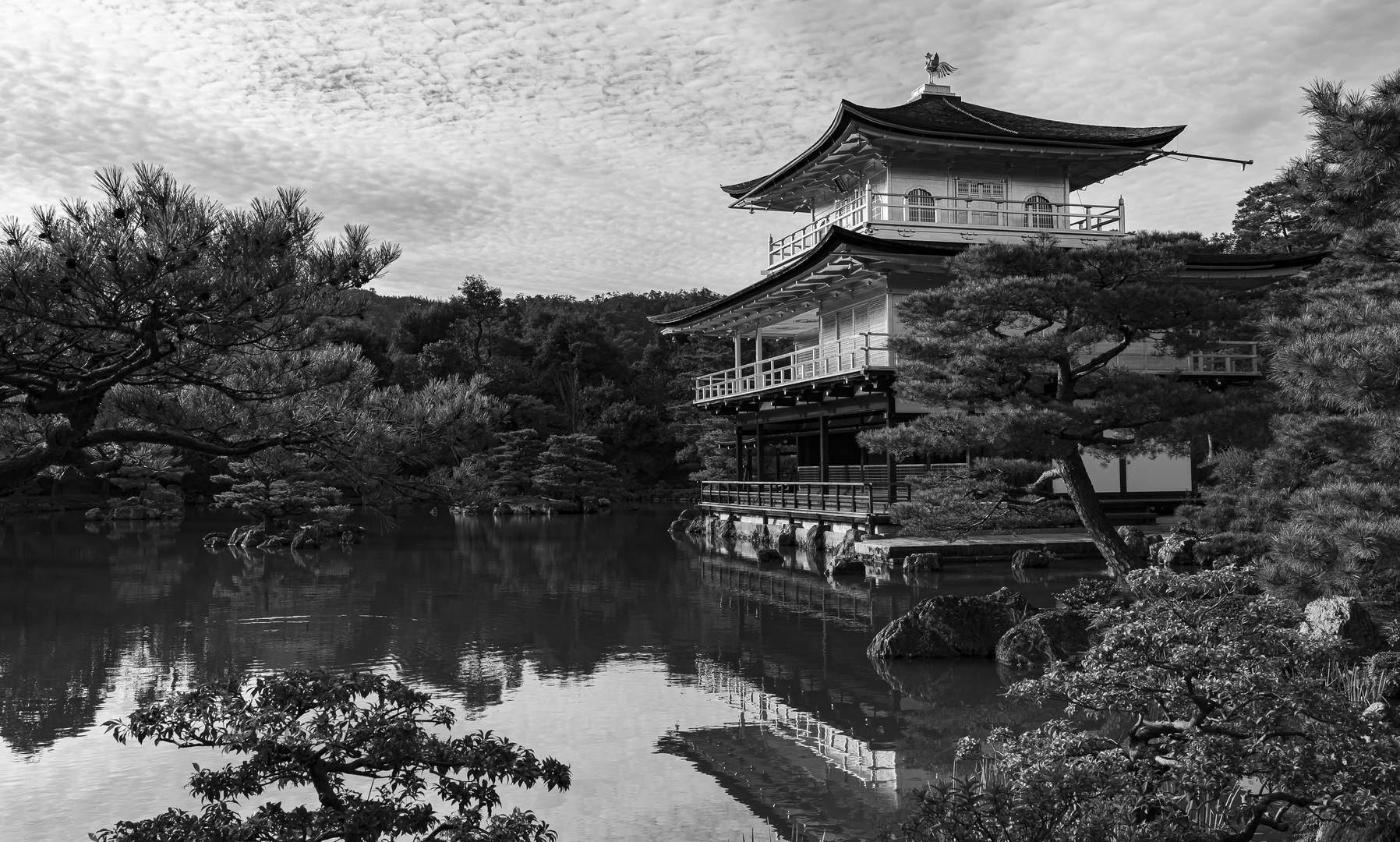 JAPAN- Kyoto - Kinkaku-ji - goldener Pavillon - SCHWARZ WEISS